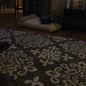 Meet your Posher, Casey